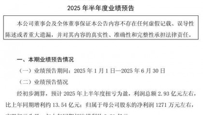 山东钢铁发布半年度业绩预告，利润总额增长近13.54亿元