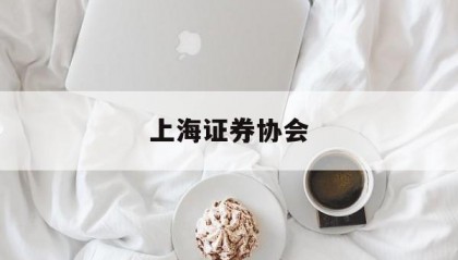 上海证券协会(上海证券业协会)