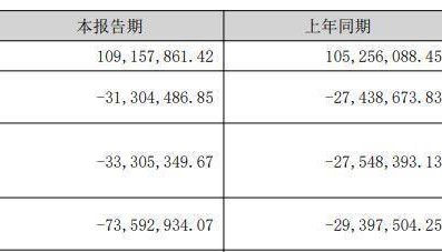 破发股瑞晨环保连亏一年半 2022年上市东方证券保荐