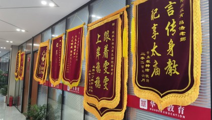 湖北专升本机构综合排名分析