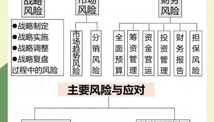 证券公司全面风险管理(证券公司全面风险管理基本原则)
