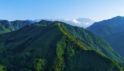 母婴平台经营模式分析：轻资产模式与重资产模式谁更可持续？