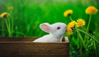 宇邦新材：接受中信证券等投资者调研