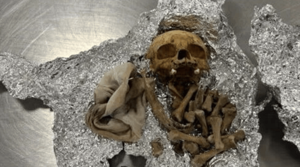 美国机场海关在一乘客行李中查获人类头骨,乘客:是用于举办仪式;官员:存在卫生风险,已没收并销毁