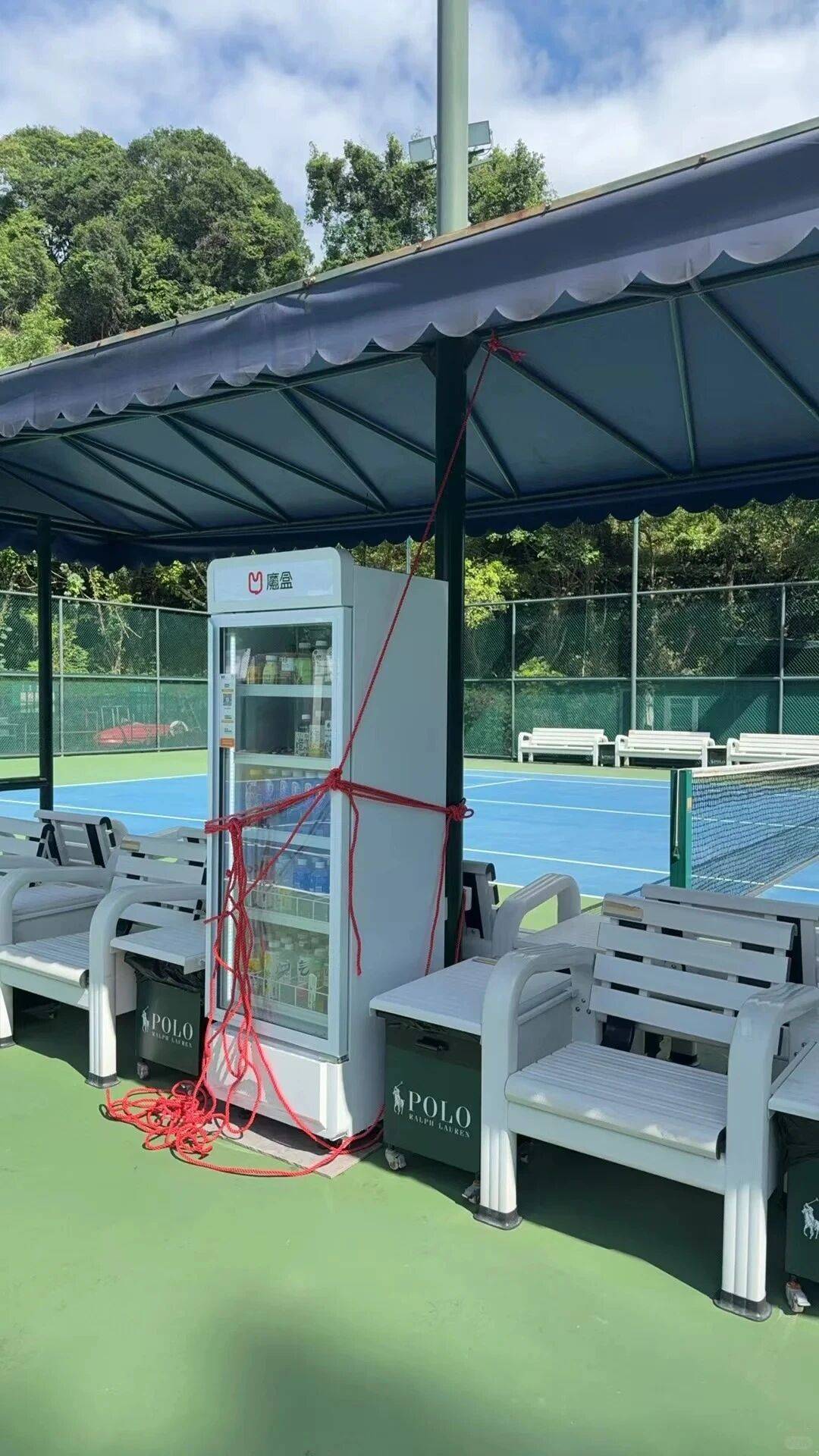 个头大过广东！谨防风王“桦加沙”，深圳人太硬核！这些务必码住