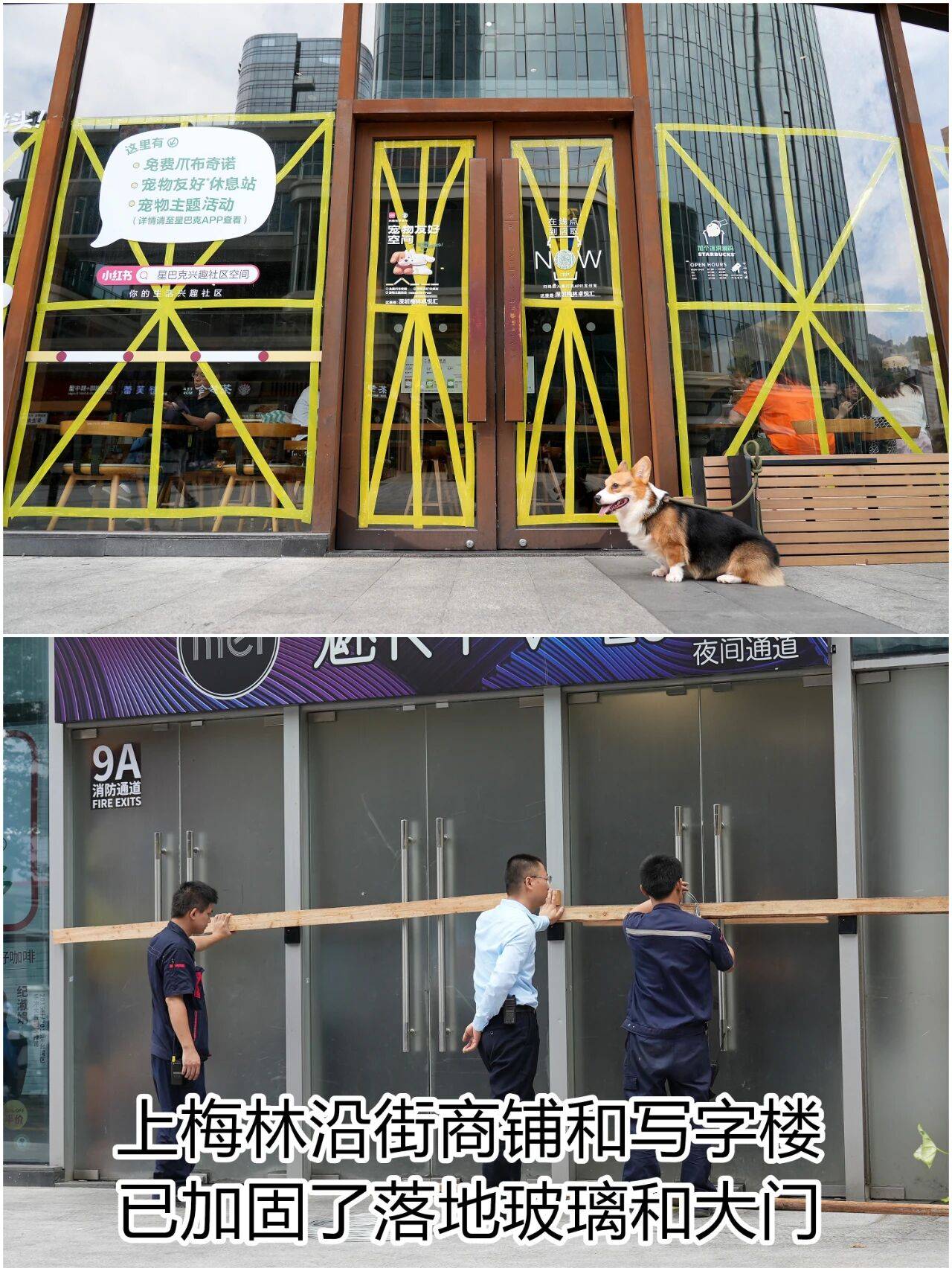 个头大过广东！谨防风王“桦加沙”，深圳人太硬核！这些务必码住