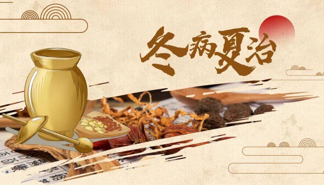 林琳诊室 | 三伏天=慢阻肺“黄金调养期”！推荐3款膳食，温养正气