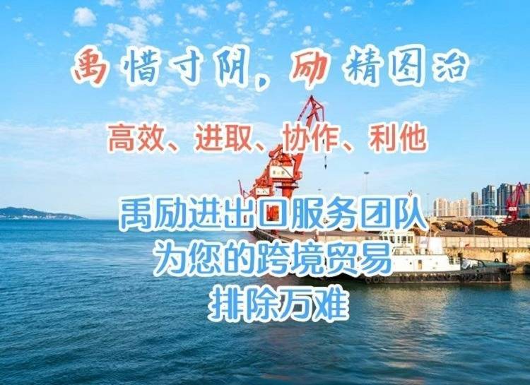 上海清关公司电话