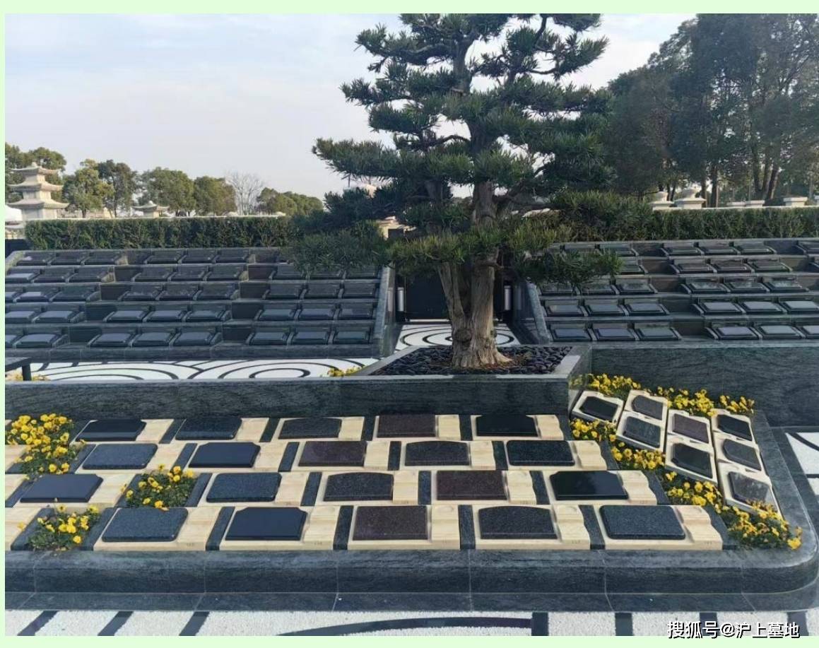 上海嘉定清竹园公墓电话|清竹园公墓价格一览表