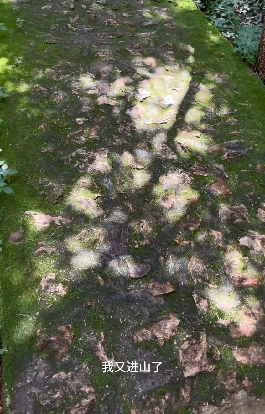 刘孜陪儿子闯青春期！遭 “摆烂” 气到进山，最终结局让人期待！