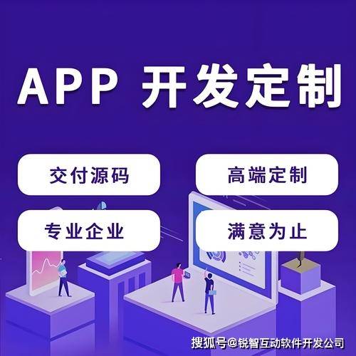 上海APP软件开发公司综合能力分析