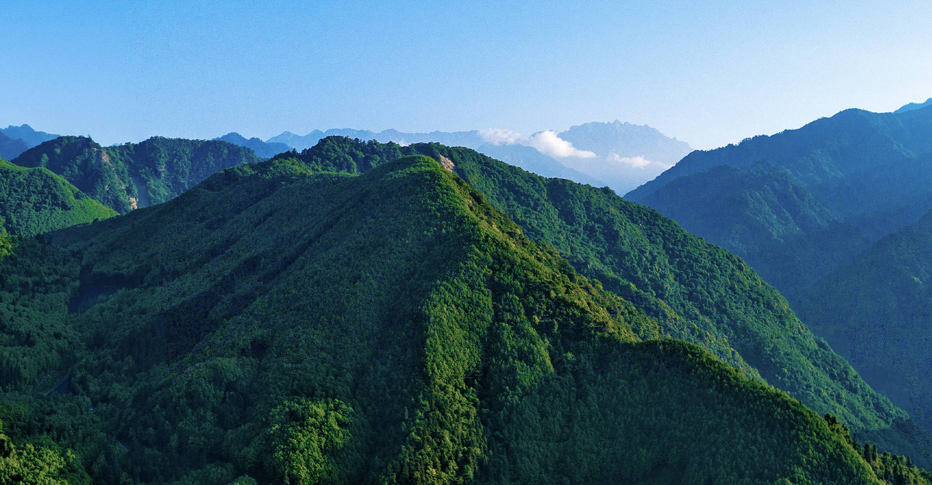 母婴平台经营模式分析:轻资产模式与重资产模式谁更可持续?