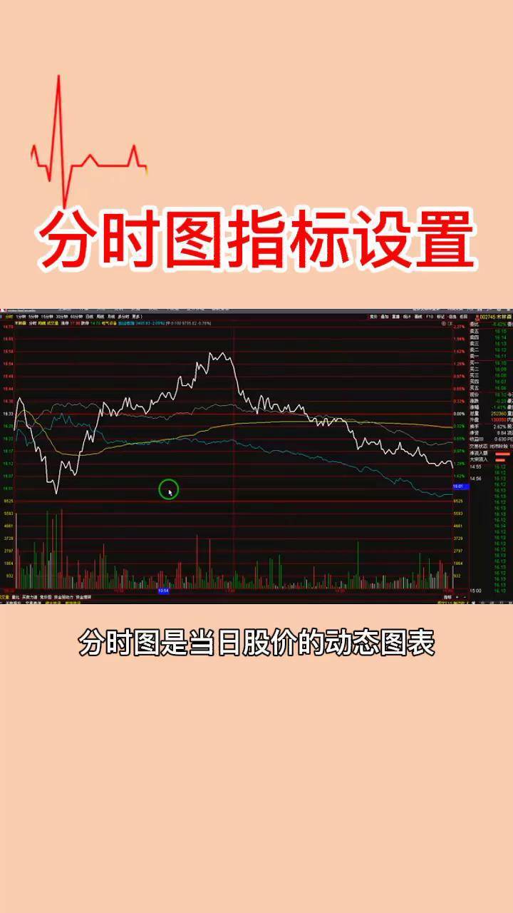 证券可分为(证券分为股票,基金,债券还有什么)